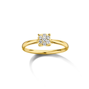 R45029-84/55 Dulci Nea ring geel goud 18kt