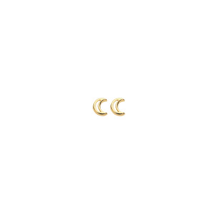 7320YGO Blush Oorknoppen Geel goud 14kt