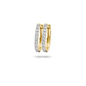 7236YZI Blush Oorringen Geel goud 14kt