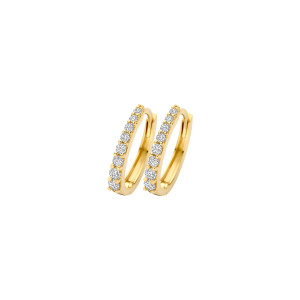 7341YZI Blush Oorringen Geel goud 14kt