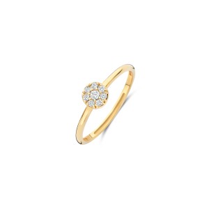 1277YZI Blush Ring 14k Geel goud